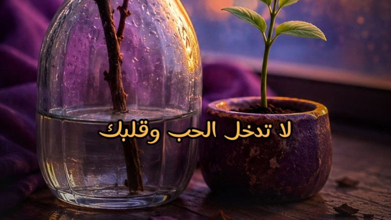 لا تُحب وأنتَ مُنكسر