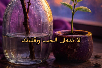 لا تُحب وأنتَ مُنكسر