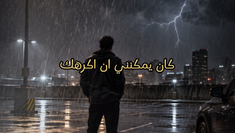 كان بإمكاني أن أكرهك